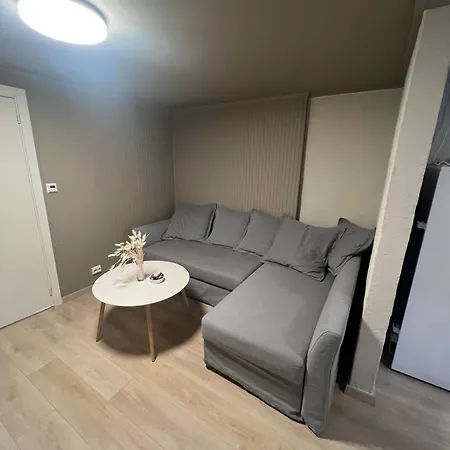 Modern Basement Apartament