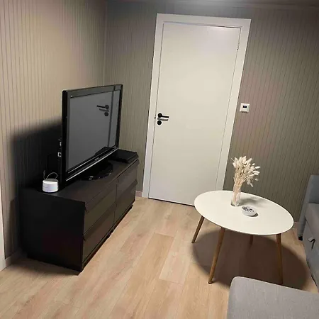 Modern Basement